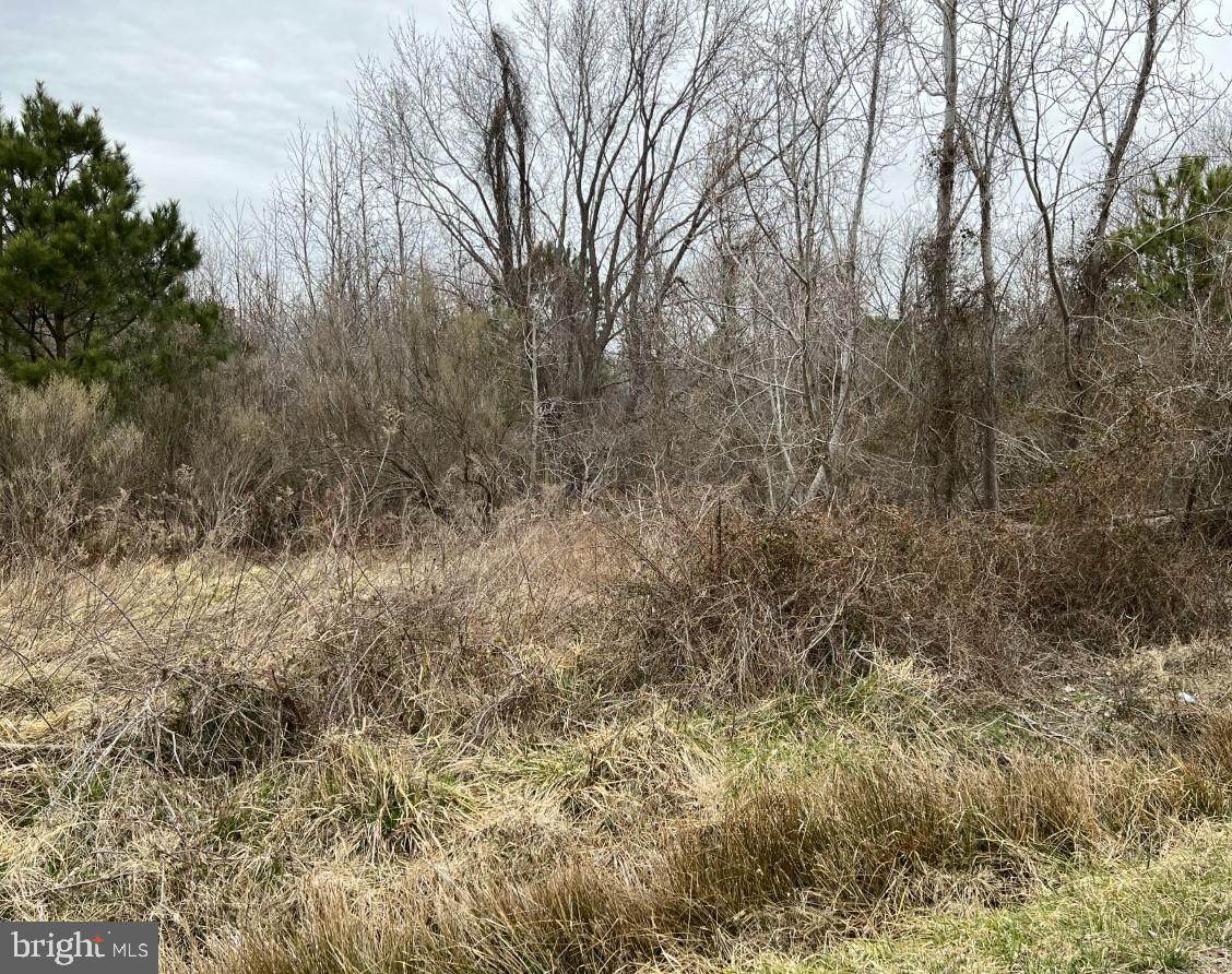 10814 Toddville Road - Photo 1