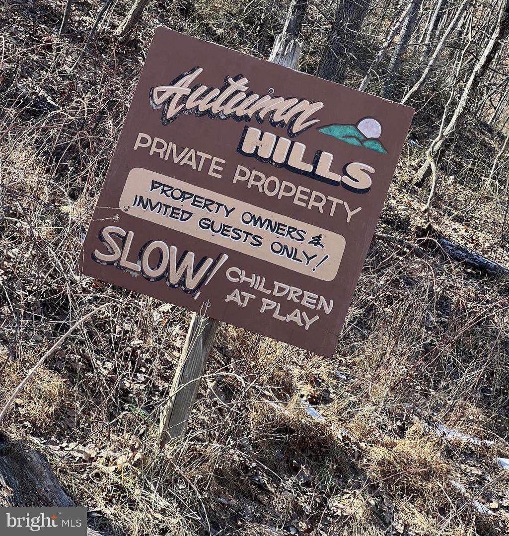 Lot #48 + #49 Autum Trail - Photo 1