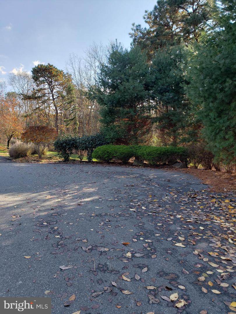 205 Blue Heron Court - Photo 1
