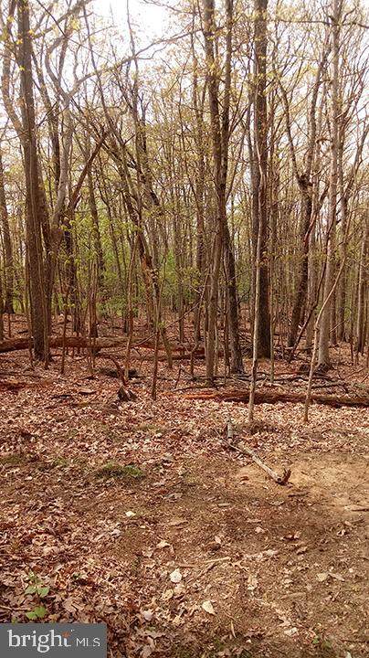 650 Doghouse Road - Photo 1