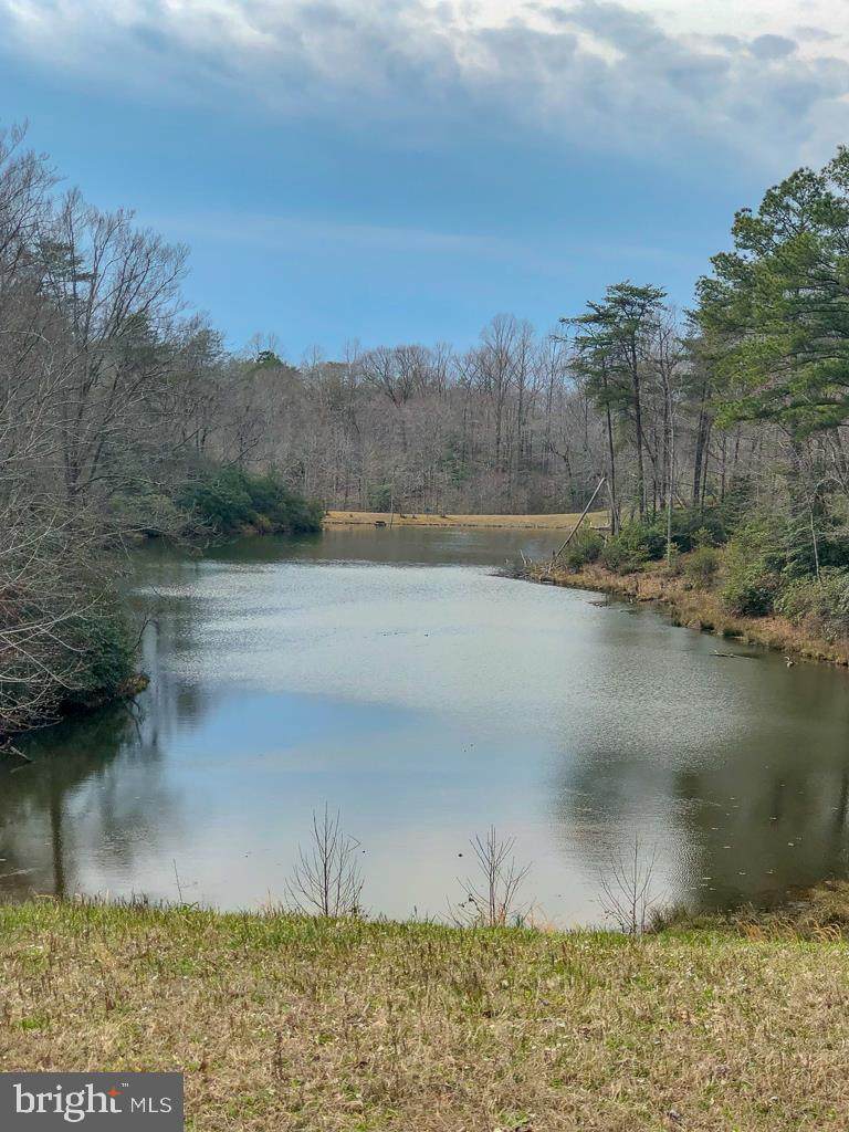 LOT 44 Twin Branch Drive - Photo 1