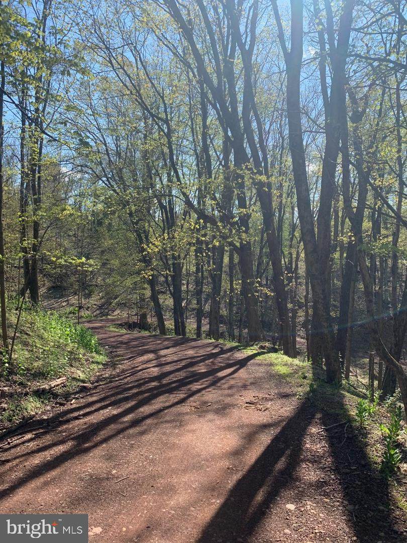 132 Dark Hollow Road - Photo 1