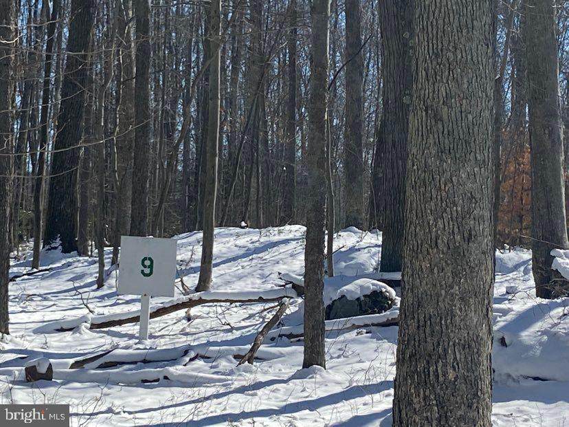 Lot 9 Stanton Lane - Photo 1