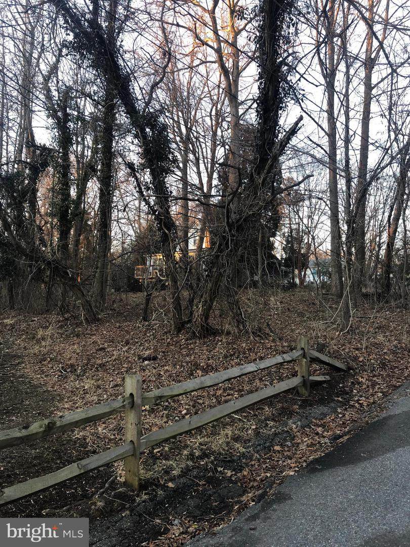 3228 Walnut Drive - Photo 1