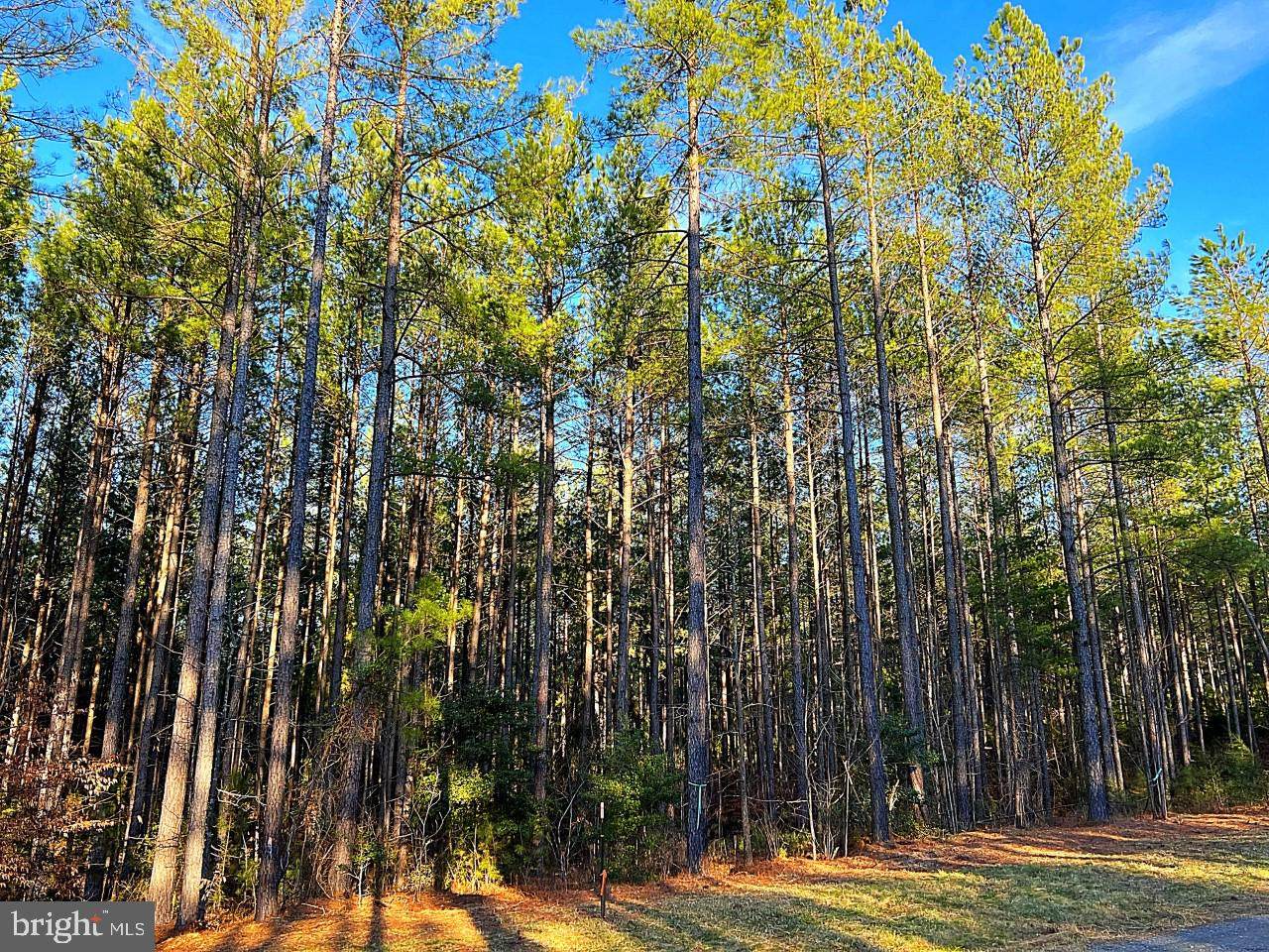 Lot 3B-3 Wade Trail - Photo 1