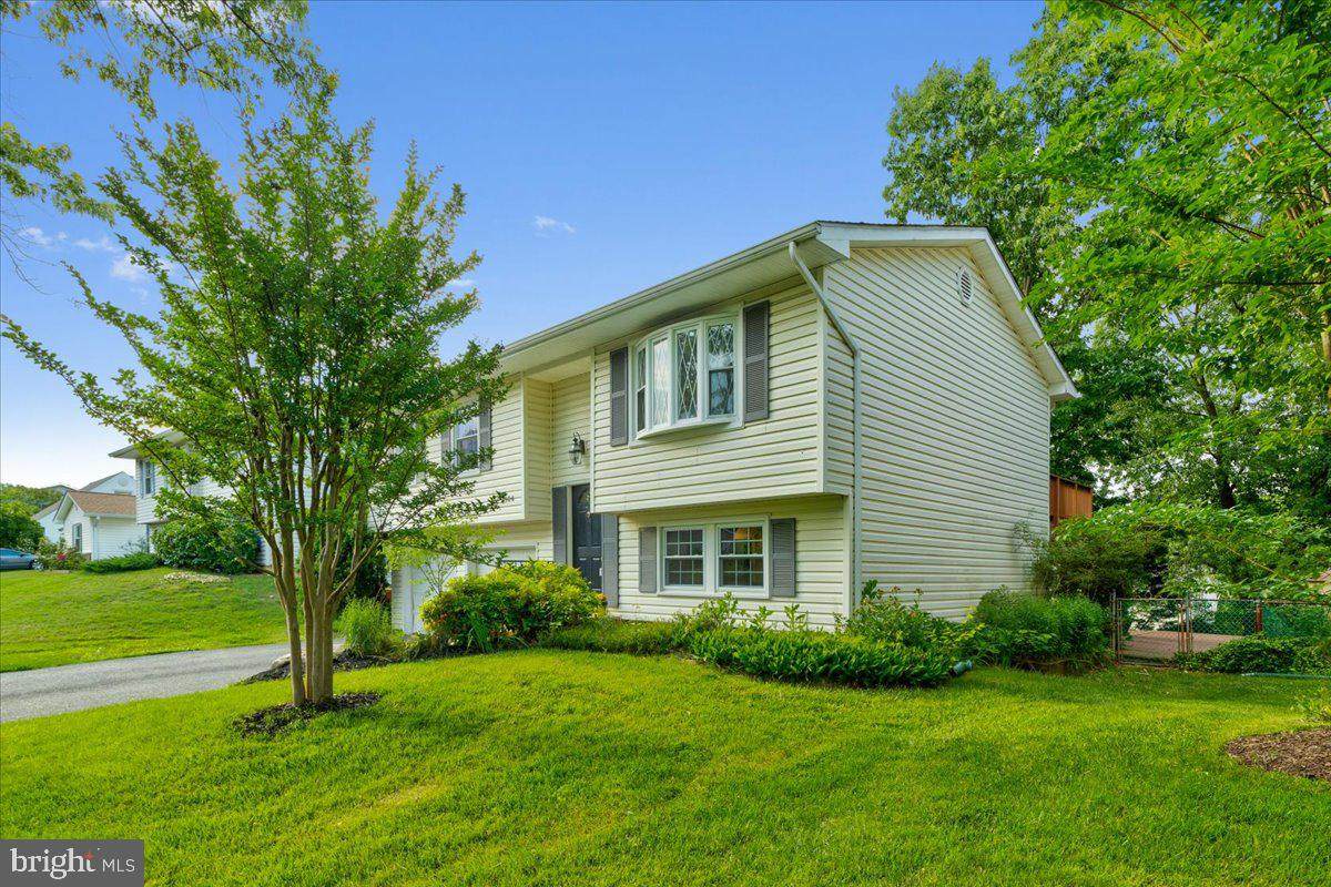 1904 Trafalgar Drive - Photo 1