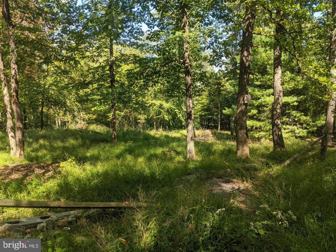 Lot 18 Hickory Ridge Rd - Photo 1