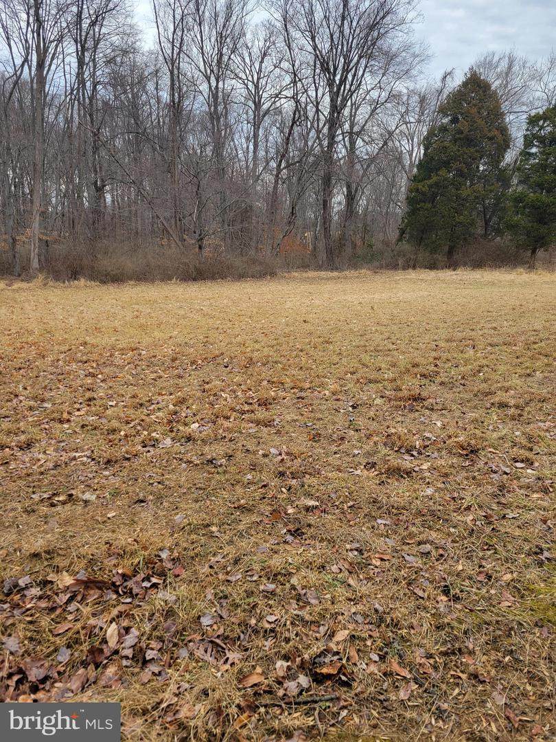 Route 440 - Photo 1