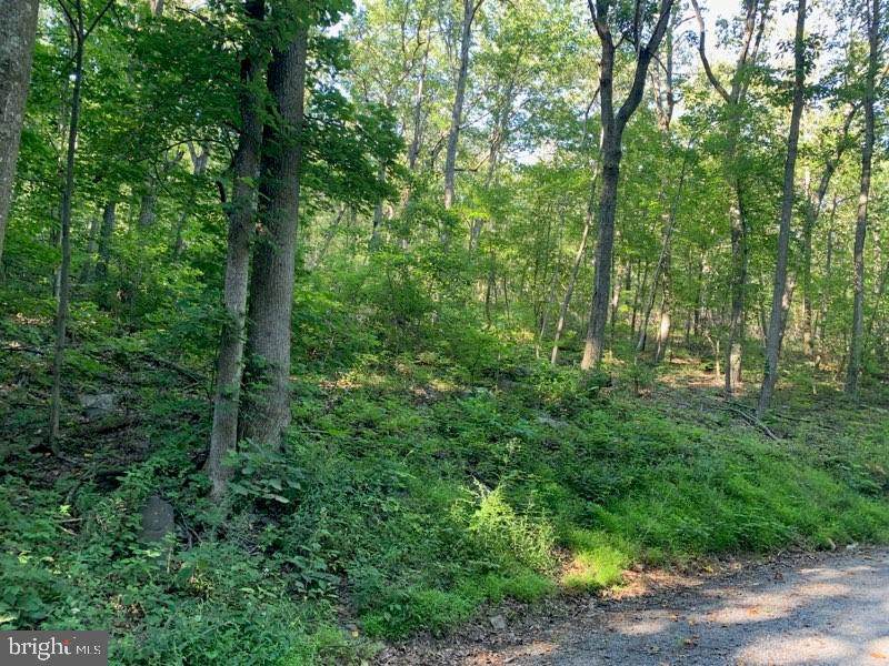 Lot 133 Tomahawk Trail - Photo 1