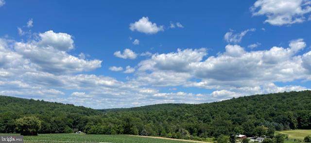 12415 Pleasant Valley Road - Photo 1