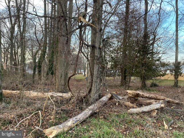 0 Quaker Road - Photo 1