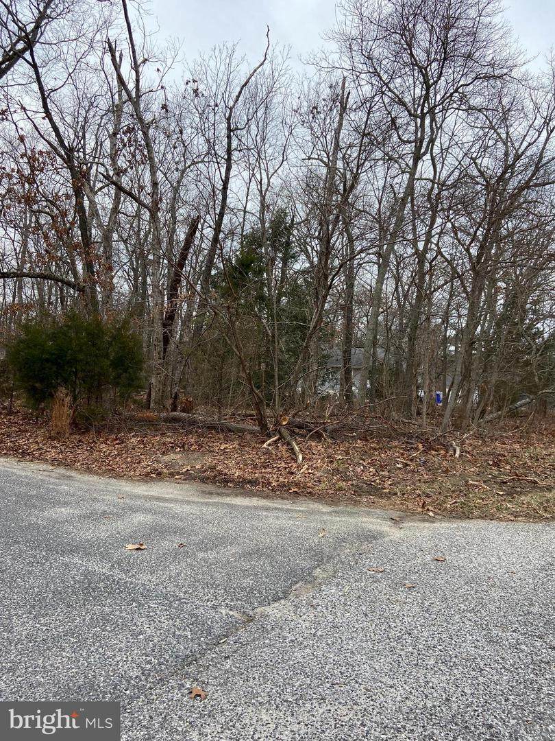 205 Buckshutem Rd Rd W Road - Photo 1