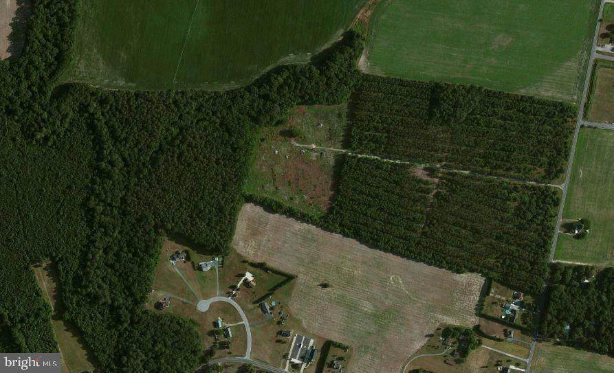0 Connelly Mill Road - Photo 1