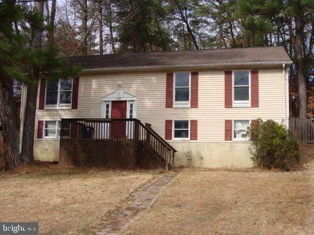 11709 Big Sandy Run Road - Photo 1