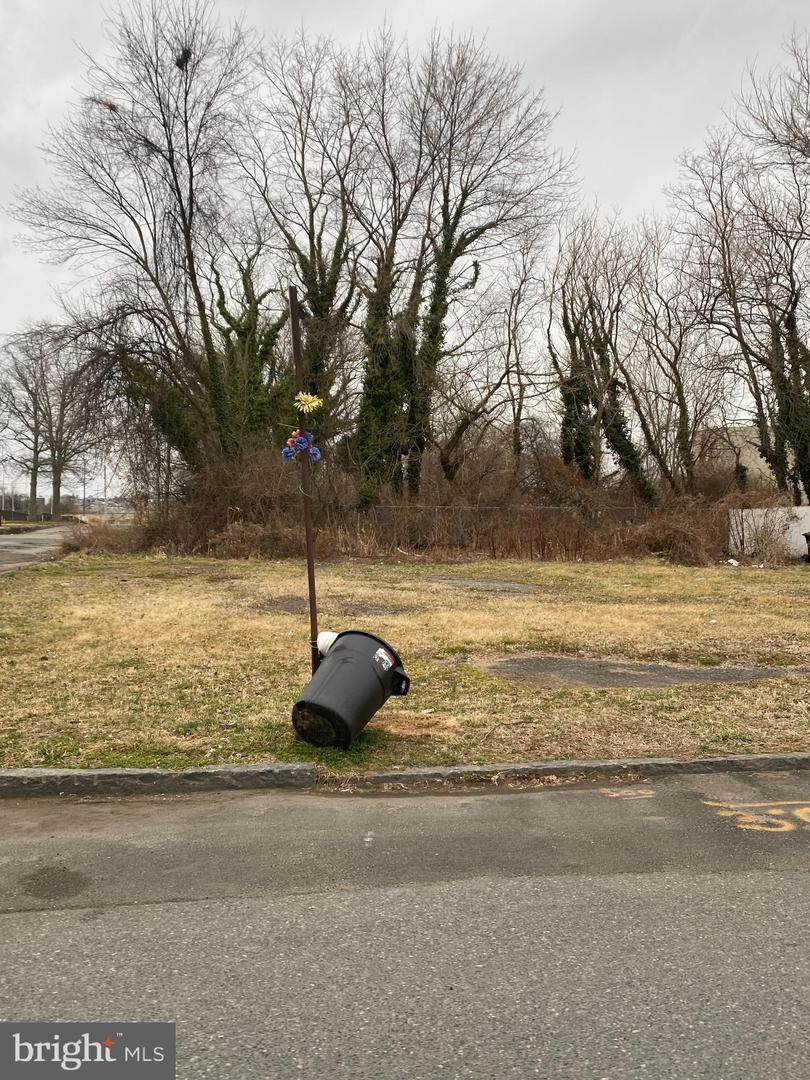 431 Buttonwood Street - Photo 1