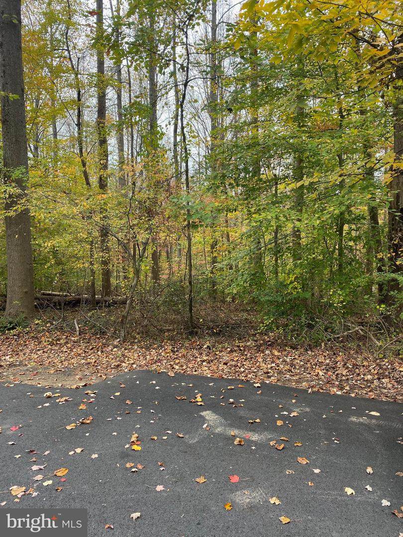 7065 Mink Hollow Road - Photo 1
