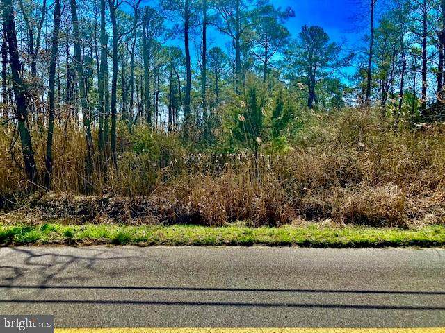 Mt. Vernon Road - Photo 1