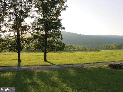 Ridgeside Road - Photo 1