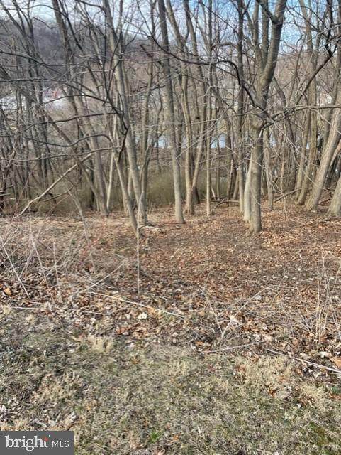 000 Monroe St - Photo 1