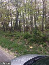 0 Black Horse Pike - Photo 1