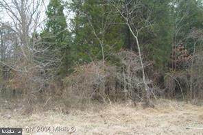 7700 James Madison Highway - Photo 1