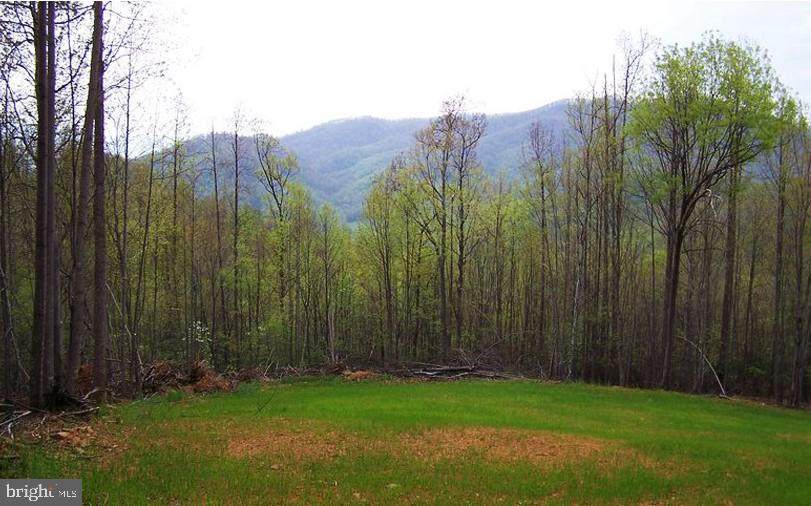 Taylor Creek Road - Photo 1