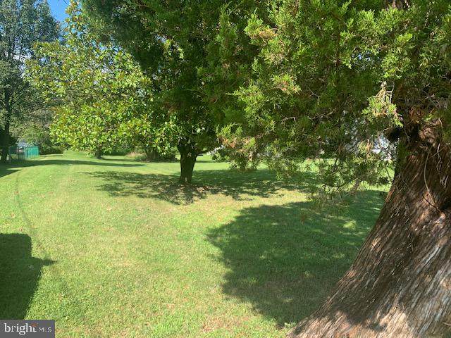 4600 E JOPPA ROAD - Photo 1