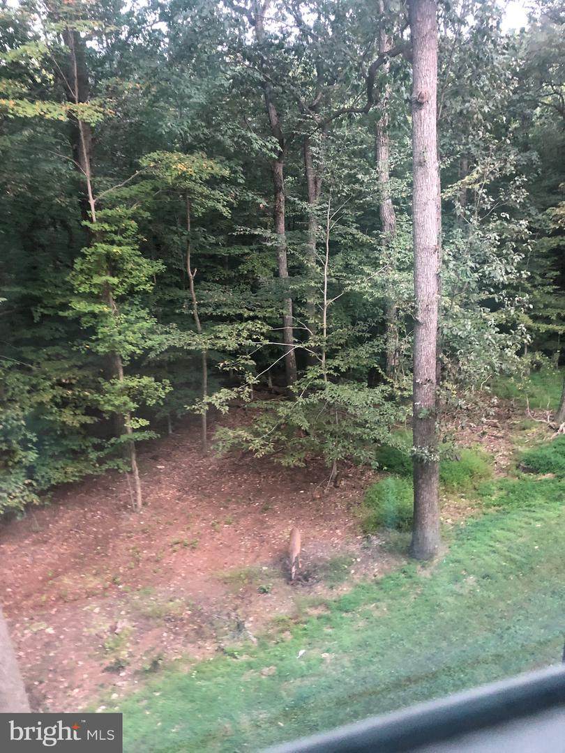 0 Appalachian - Photo 1