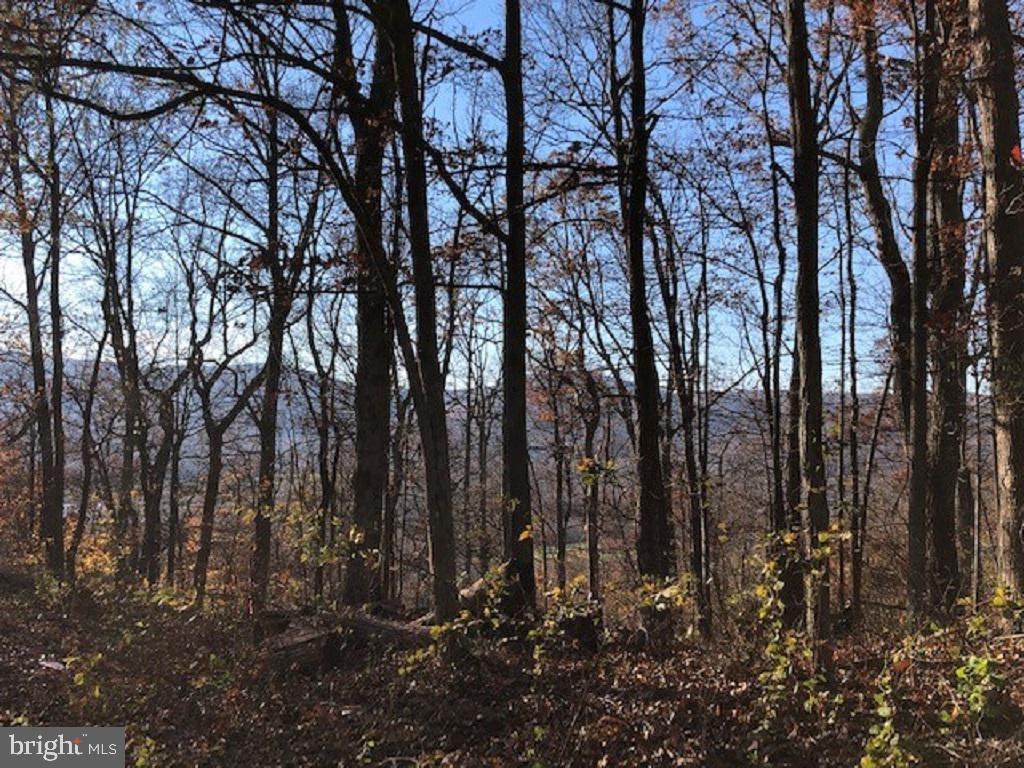 0 Dahlgren Lane - Photo 1