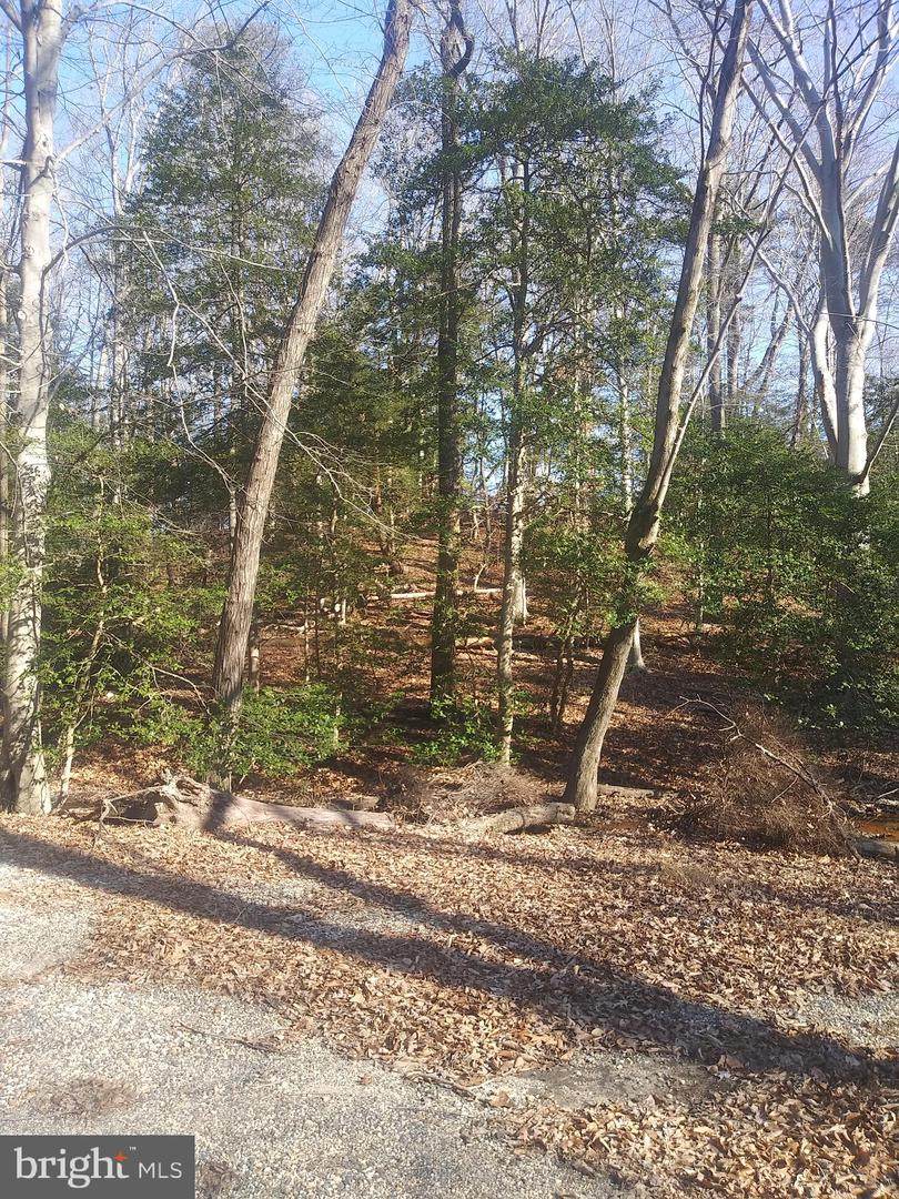 29192 Delightful Springs - Photo 1