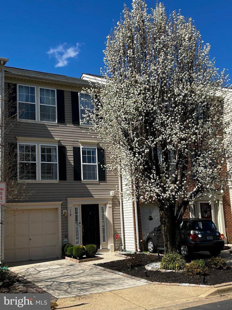 118 Ingle Place - Photo 1