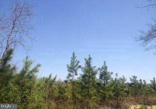 1050 Jefferson Davis Highway - Photo 1