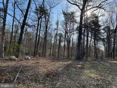 Lot 4 Kentucky Springs Rd - Photo 1