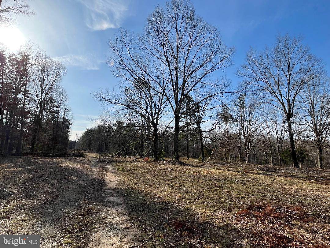 Lot 5 Kentucky Springs Rd - Photo 1