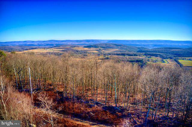 Shickshinny Valley Road - Photo 1