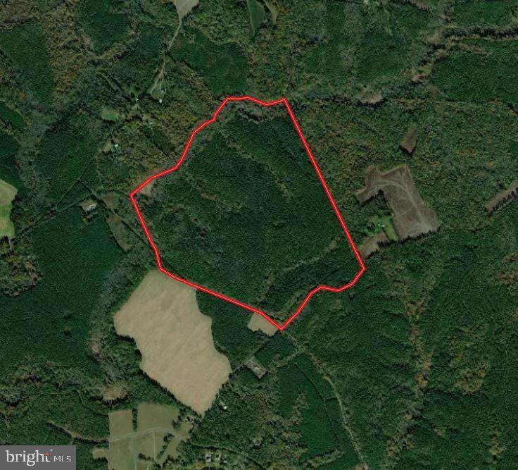 Mantapike Landing Road - Photo 1
