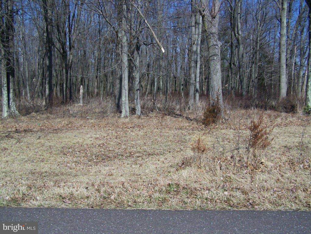 0000 Mountain View Road - Photo 1