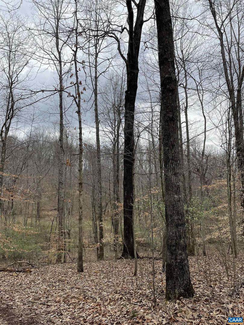 Stove Hill Rd - Photo 1