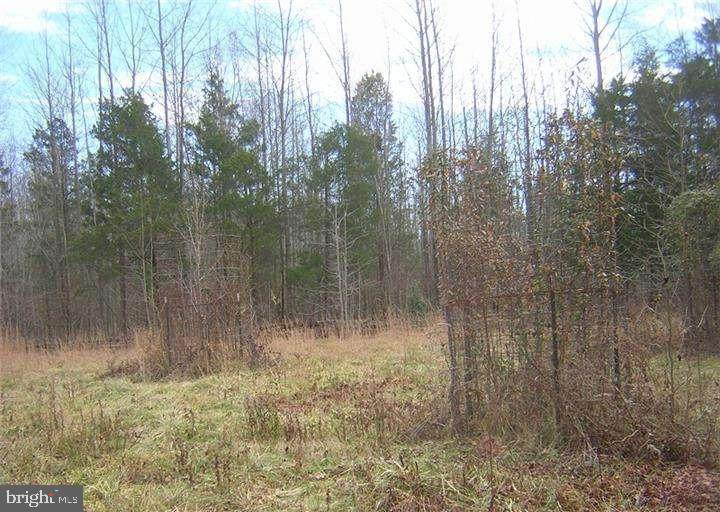 2887 Leipsic Road - Photo 1