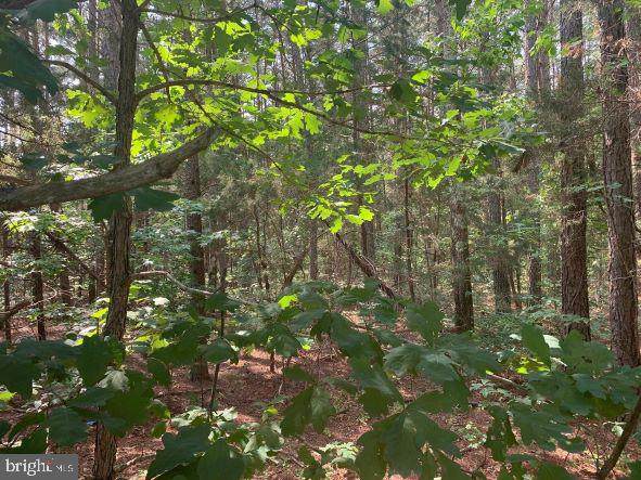 Long Branch Road - Photo 1