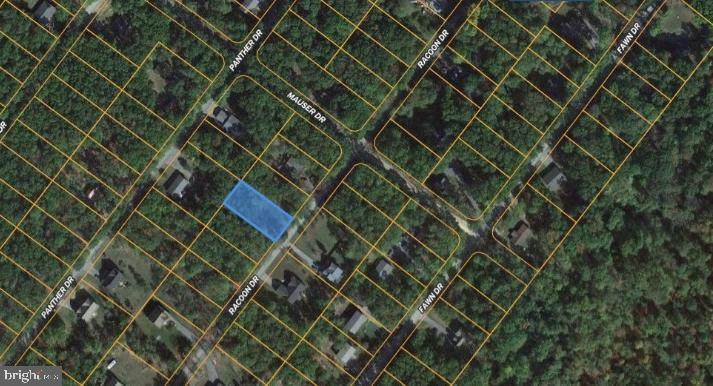 Lot #11 Racoon Drive - Photo 1