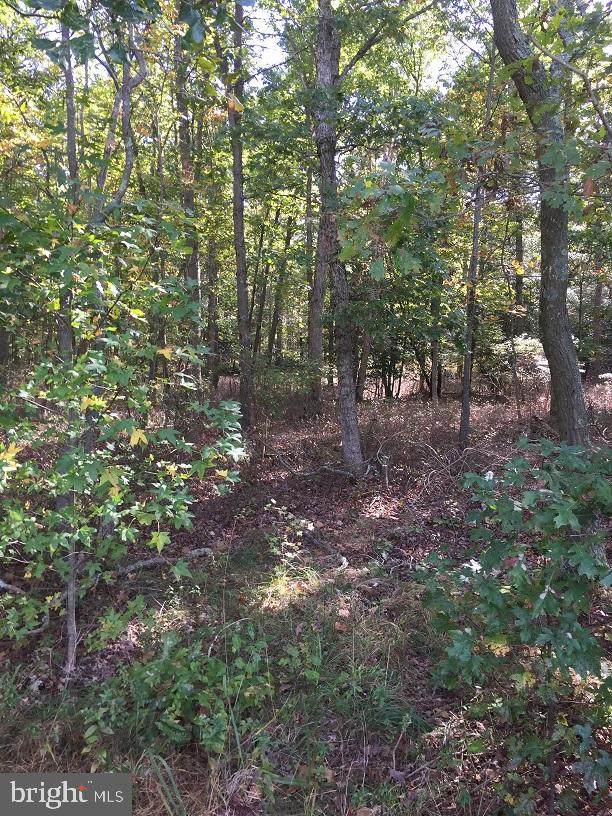 0 Upper Neck Road - Photo 1