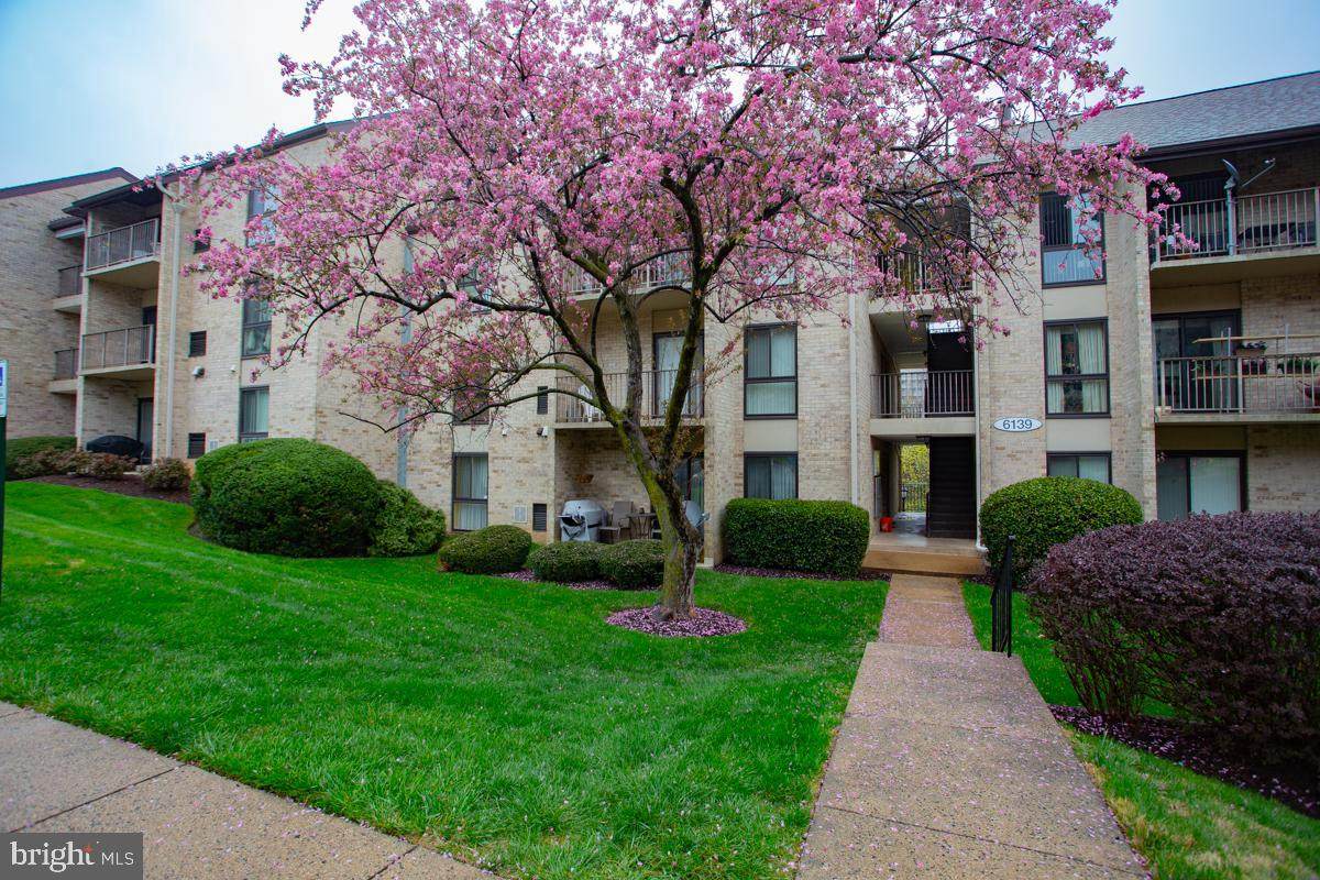 6139 Edsall Road - Photo 1