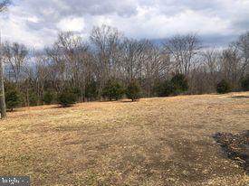 LOTS 58 & 59 Tupelo Loop - Photo 1