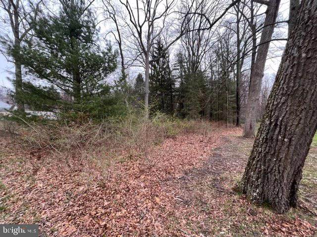 Pennersville Road - Photo 1