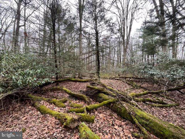 Pennersville Road - Photo 1