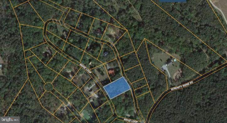 Lot #41 Ridge Loop - Photo 1