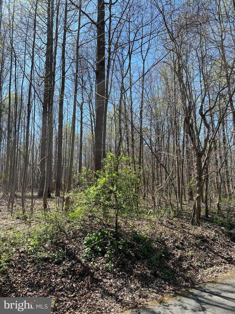 19230 Chandlee Mill Road - Photo 1
