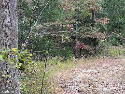 Lot 1, 3, 7 Gibbons Sub - Photo 1