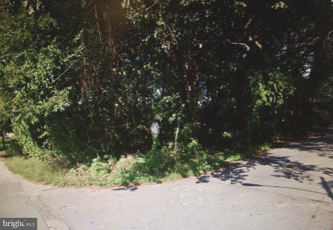 L:91 Barber Avenue - Photo 1